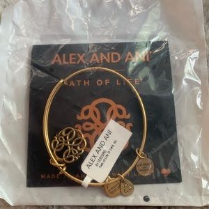 ALEX AND ANI PATH OF LIFE